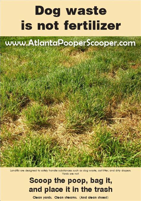 dog poop good fertilizer|Iba pa.